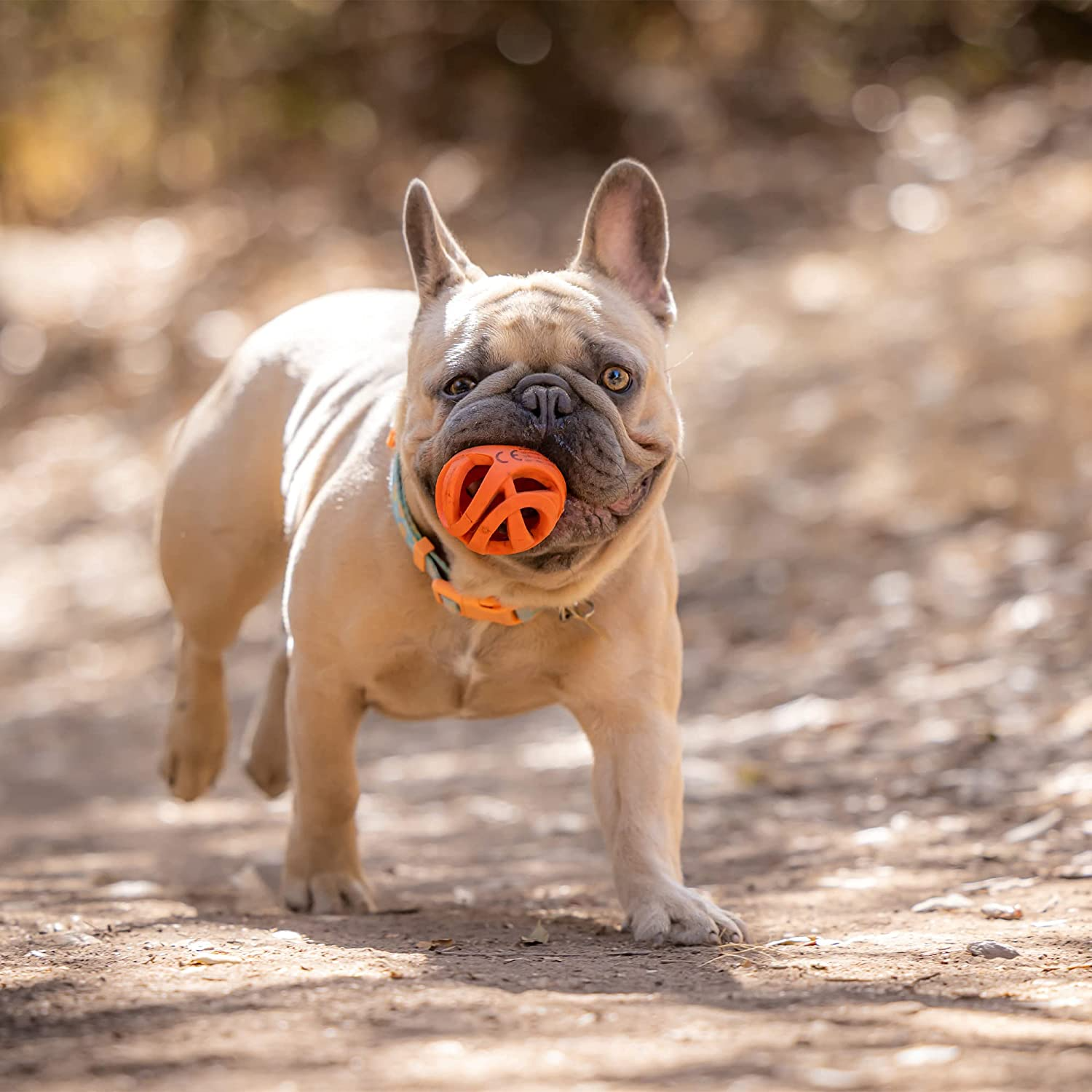Pelotas para Perros Chuckit! Air Fetch Ball Pelotas para Perros Chuckit! Air Fetch Ball